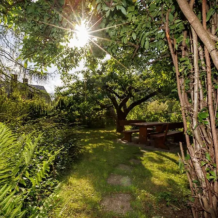 Dominika Stros * Bohinj