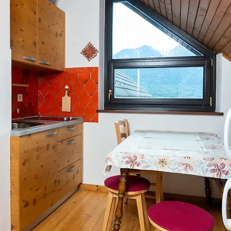 Dominika Stros Apartment Bohinj